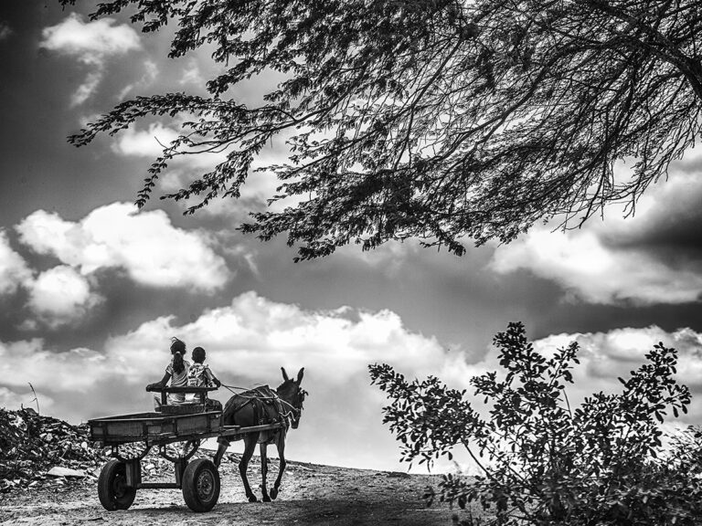 Lourdes Maria de Souza Salarini - Uncertainty